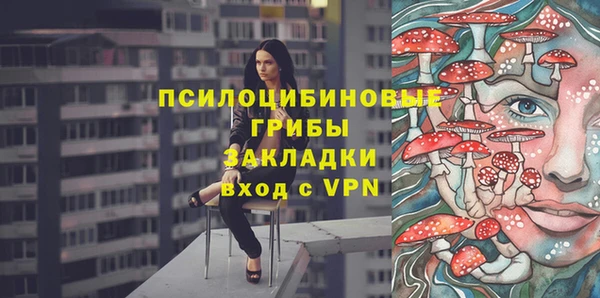 прущий лед Богородицк