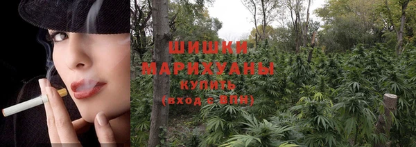Альфа ПВП Богородск
